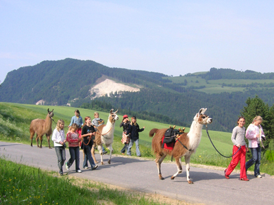 Kinder mit Lamas